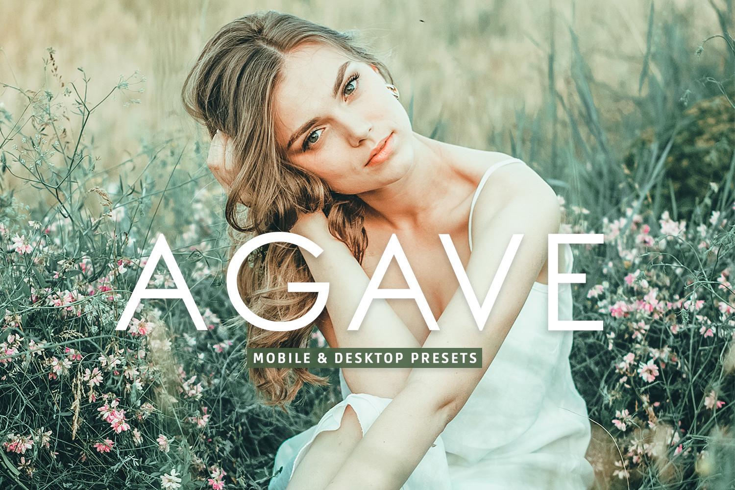 Agave Pro Lightroom Presets