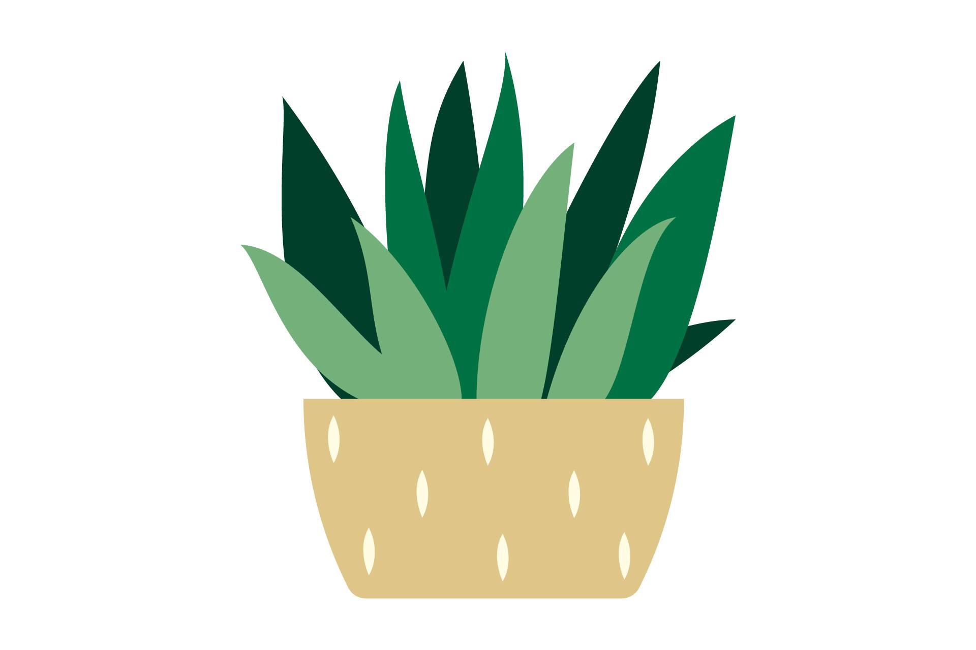 Plant Botany Exotic
