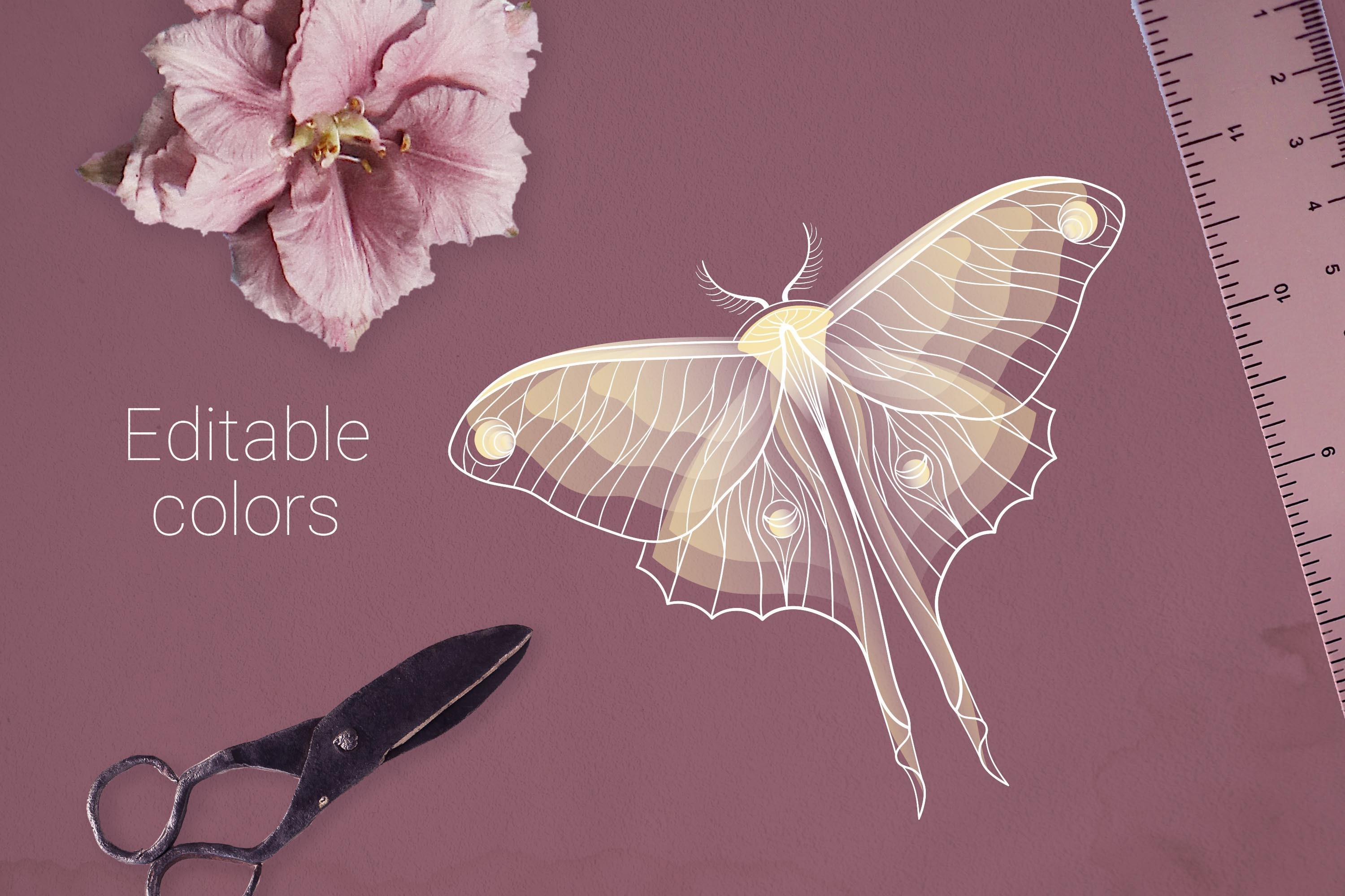 White Butterfly Vector Element