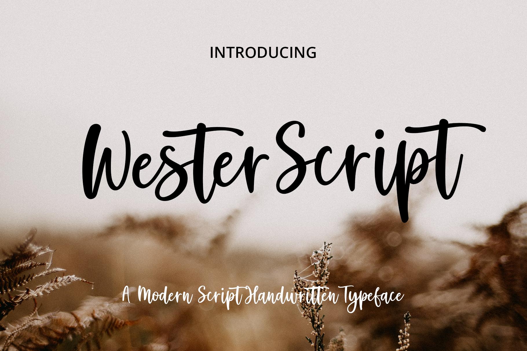 Wester Font